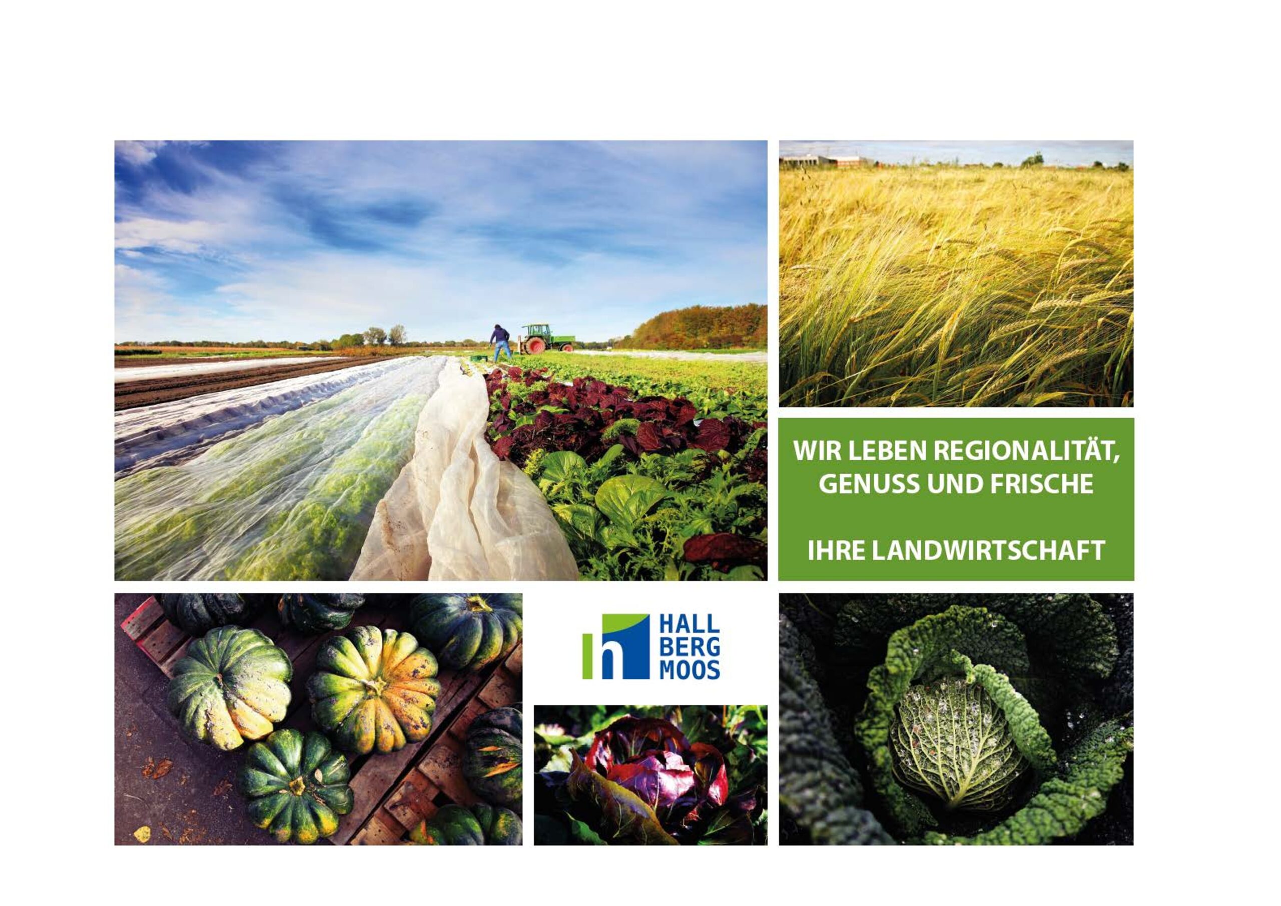 Bayerisches Obst und Gemüse aus Hallbergmoos: Regionale Landwirtschaft stärken