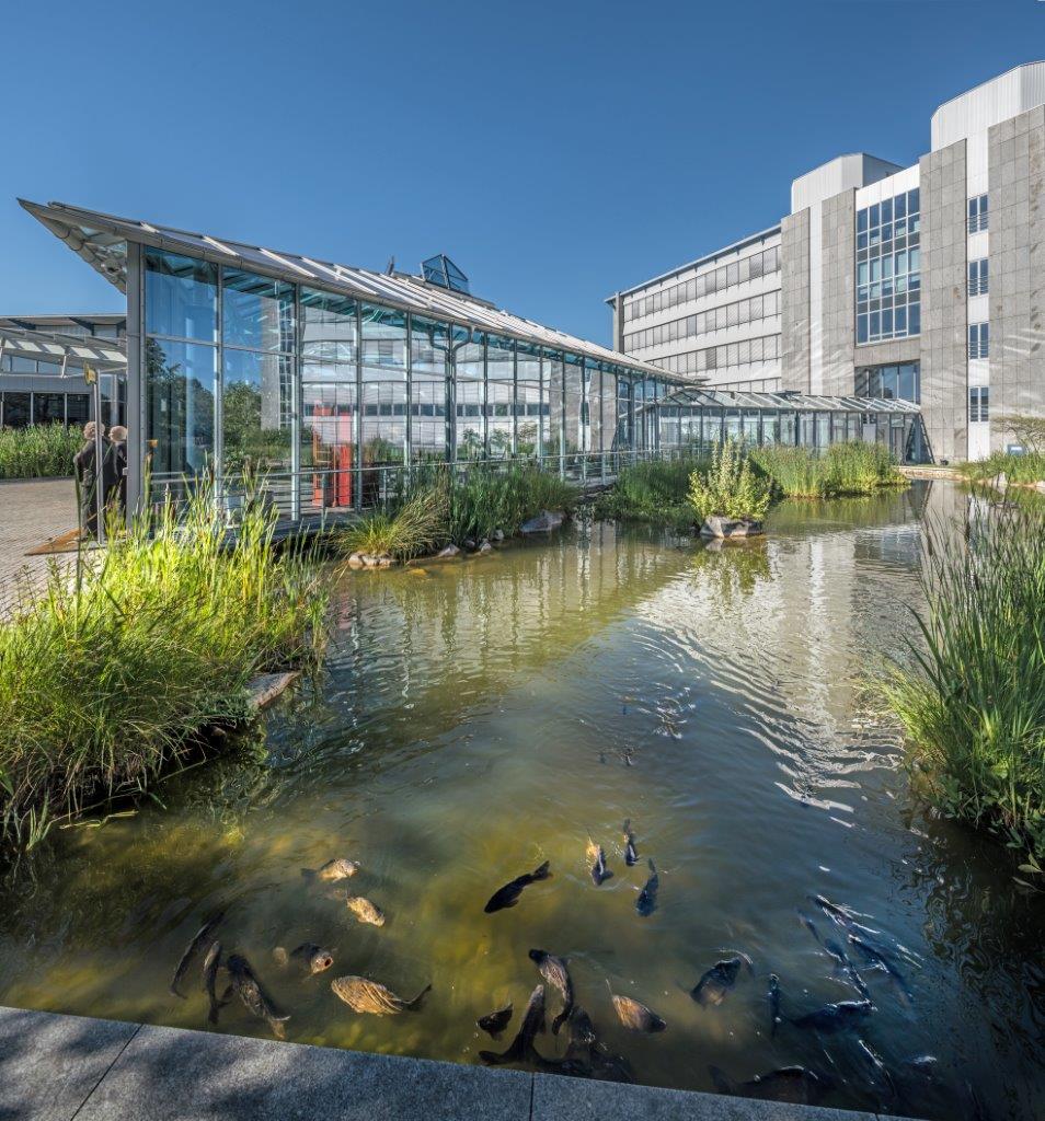 Architektonische Glasfassade am MABP Airport Business Centre mit überdachter Brücke über einen Teich, Uferpflanzen und Gebäudekomplex im Hintergrund, fotografiert von Manfred Zentsch