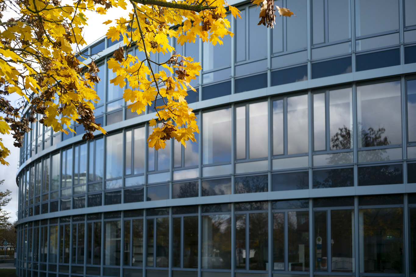 Business Destination Hallbergmoos: Your Top 5 Jobs