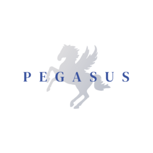 Logo von Pegasus mit einem stilisierten Pferd und dem Schriftzug 'PEGASUS' in blauer Schrift.