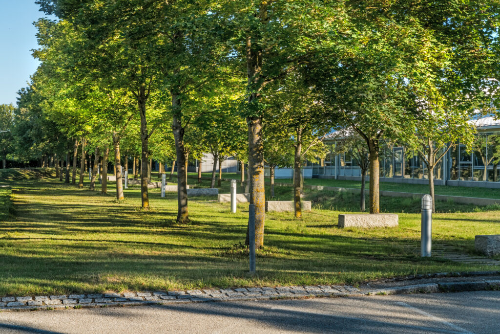 Bäume entlang einer gepflasterten Straße im Münchener Flughafen Business Park mit Rasenflächen.