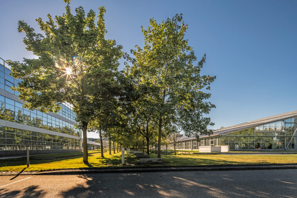 Bäume auf einem Grundstück mit modernen Gebäuden im Hintergrund bei Sonnenlicht.