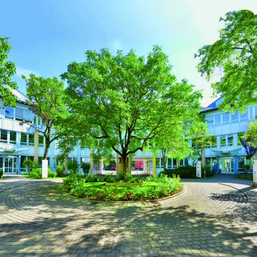 Großer Baum in einem Innenhof mit gepflastertem Boden und umliegenden Pflanzen im MABP.