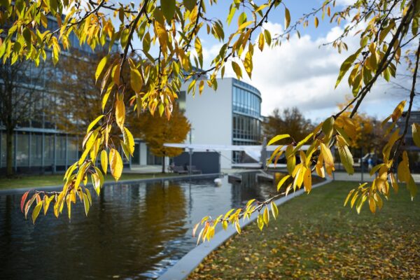 Jobs in Hallbergmoos September 2025