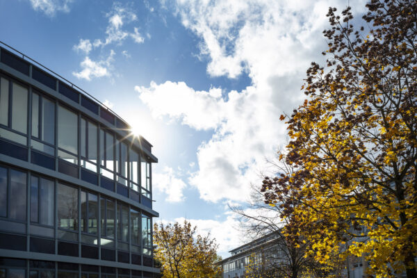 Moderne Bürogebäude mit großen Glasfenstern und herbstlichen Baumblättern im Vordergrund unter einem klaren Himmel.